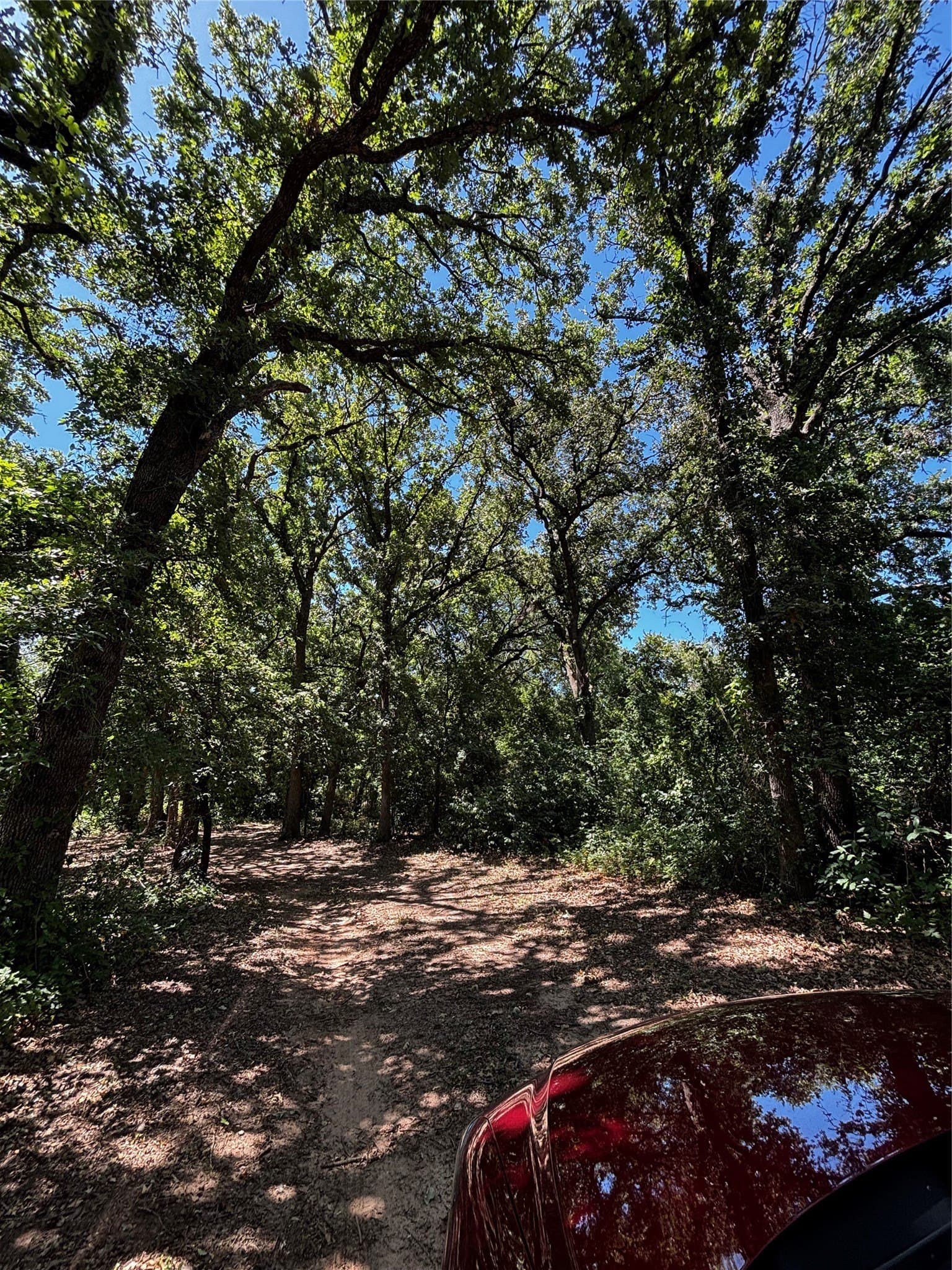 30.8 acres in Erath County - photo 21