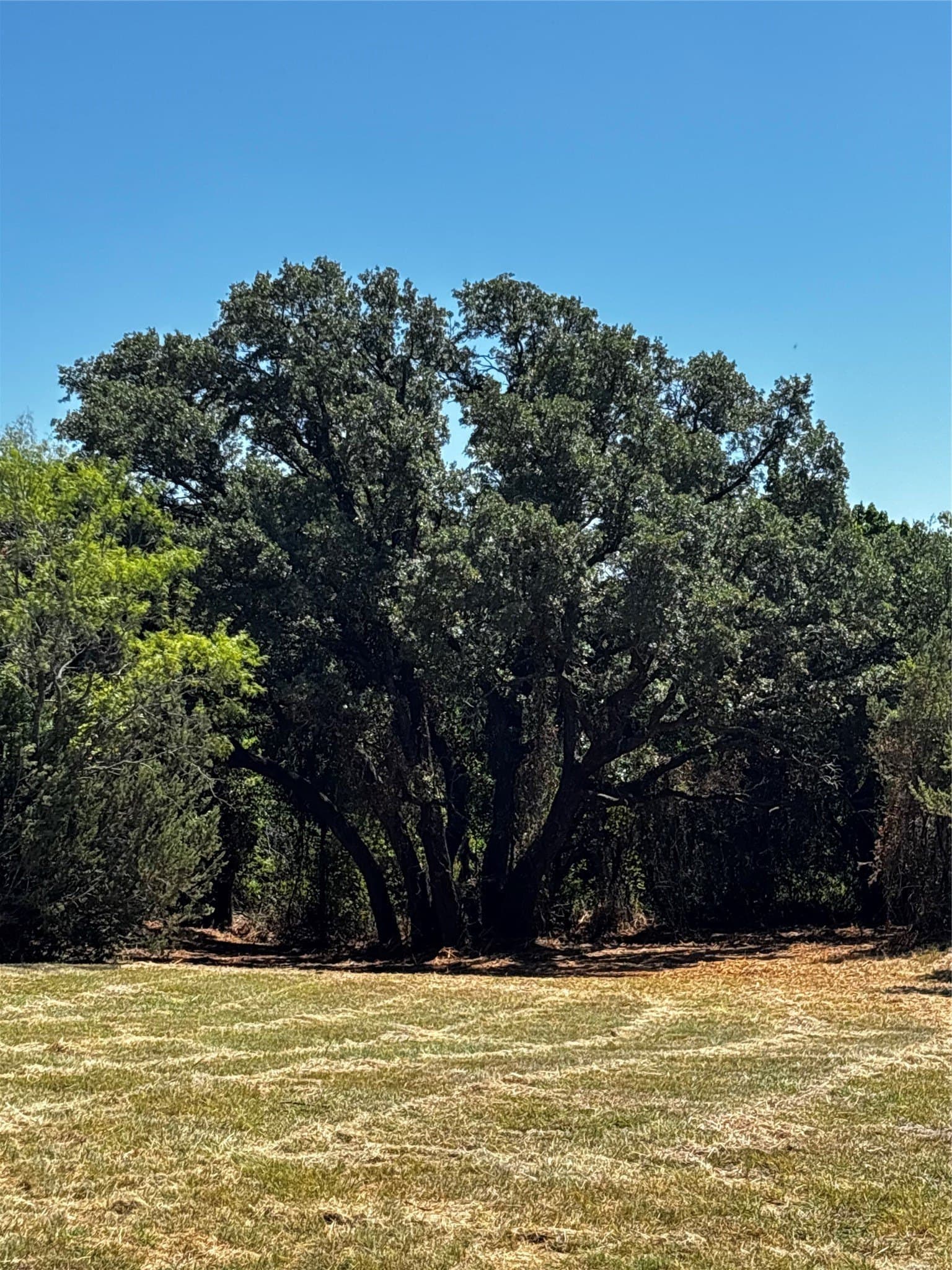 30.8 acres in Erath County - photo 20