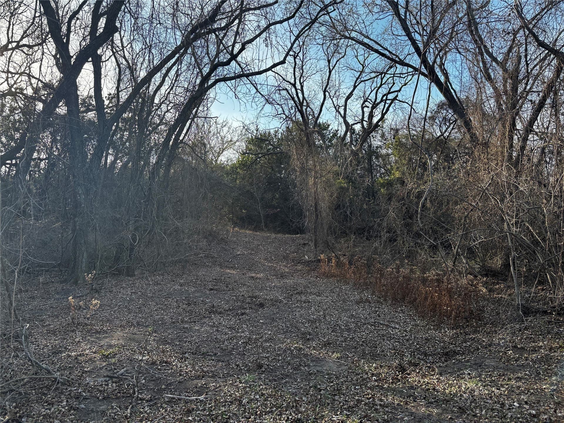 30.8 acres in Erath County - photo 17