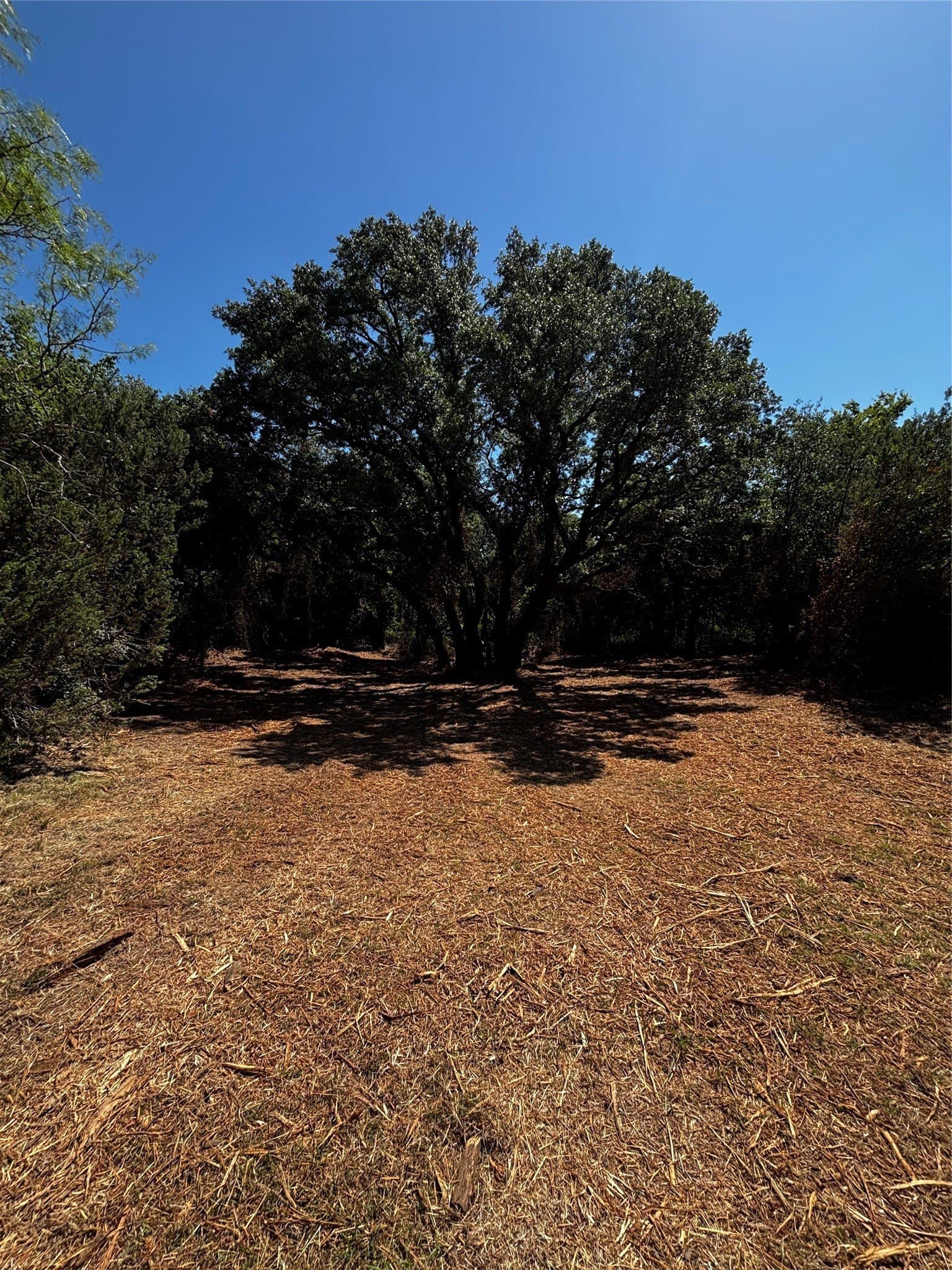 30.8 acres in Erath County - photo 4