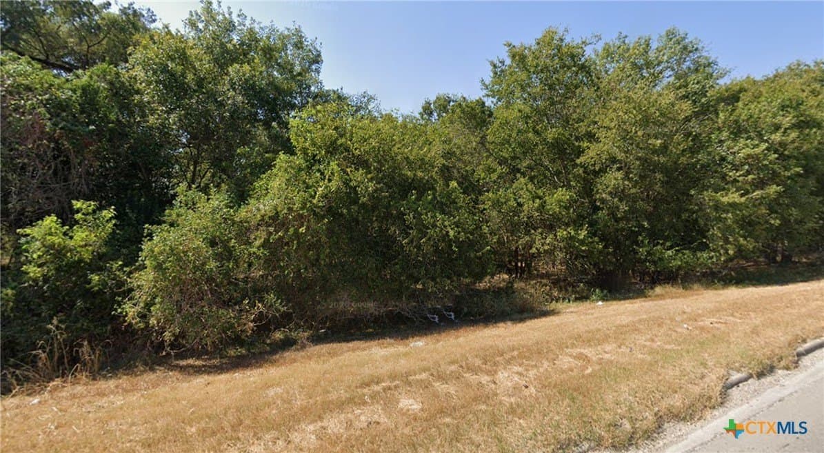 0.13 acres in Gonzales County gallery image 2
