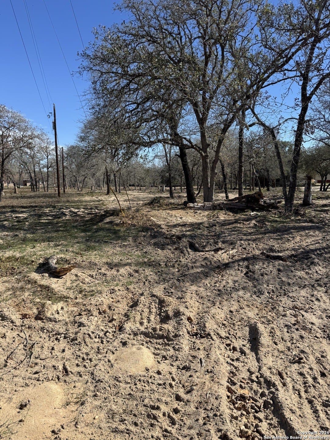 5 acres in Wilson County gallery image 3