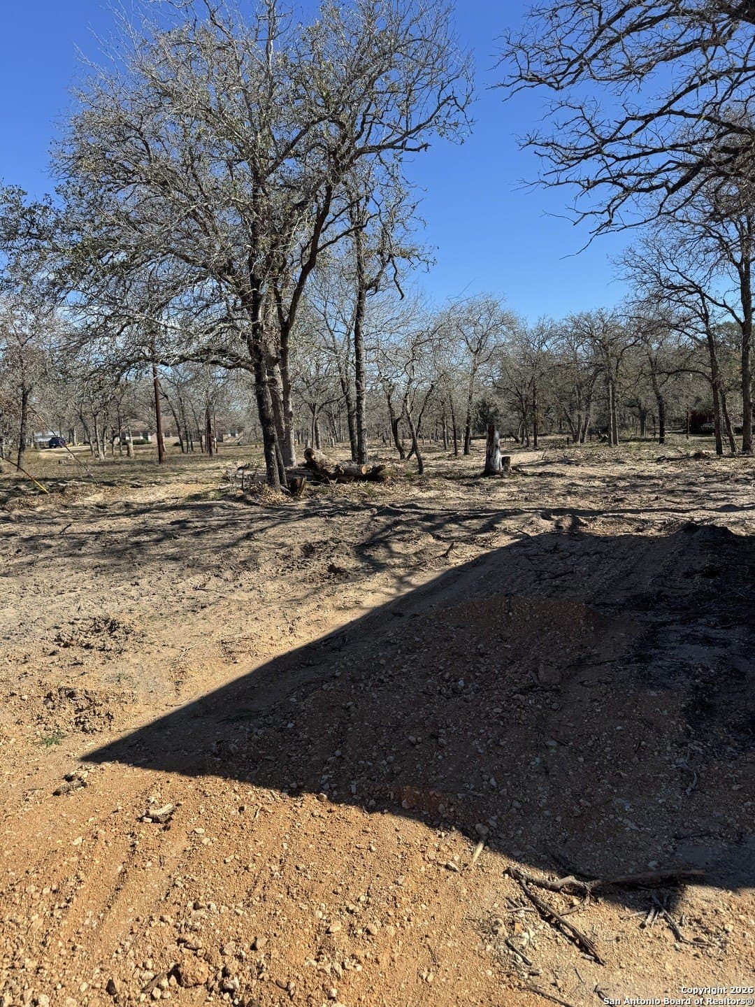 5 acres in Wilson County gallery image 2