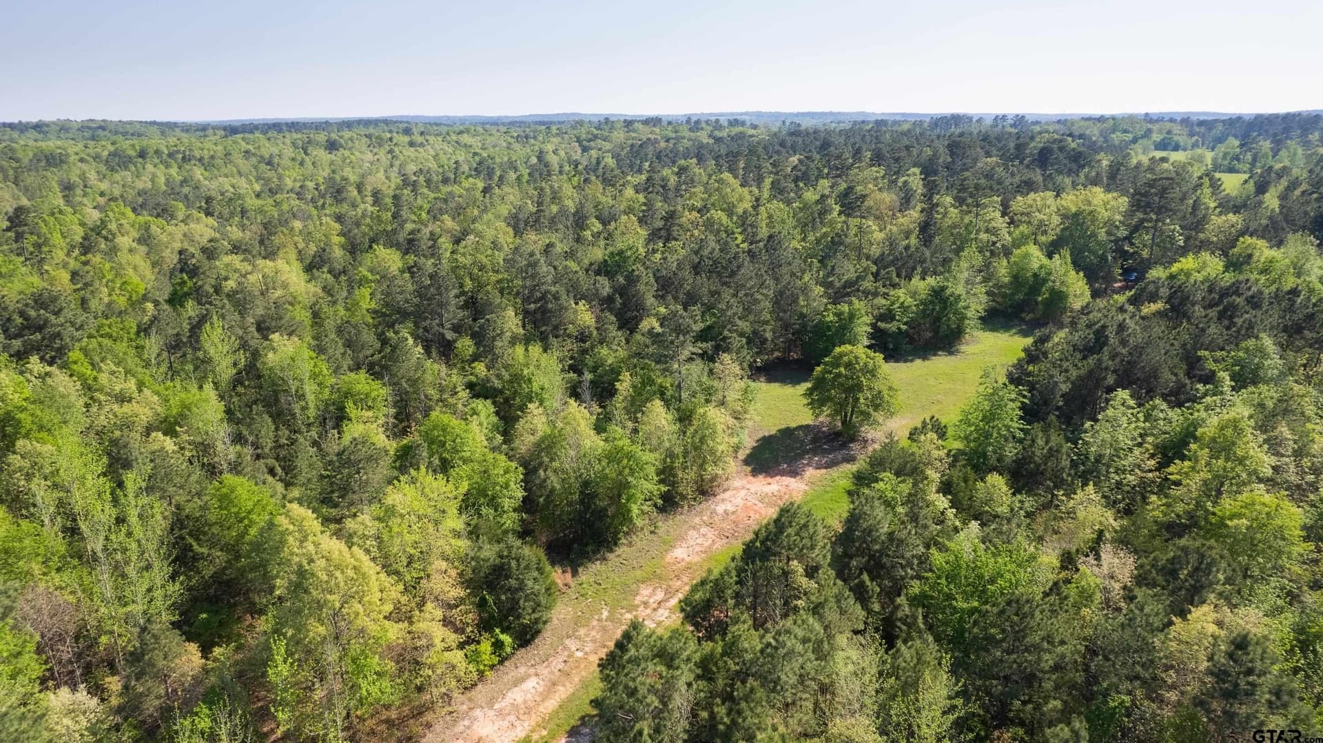 167.75 acres in Wood County - photo 18