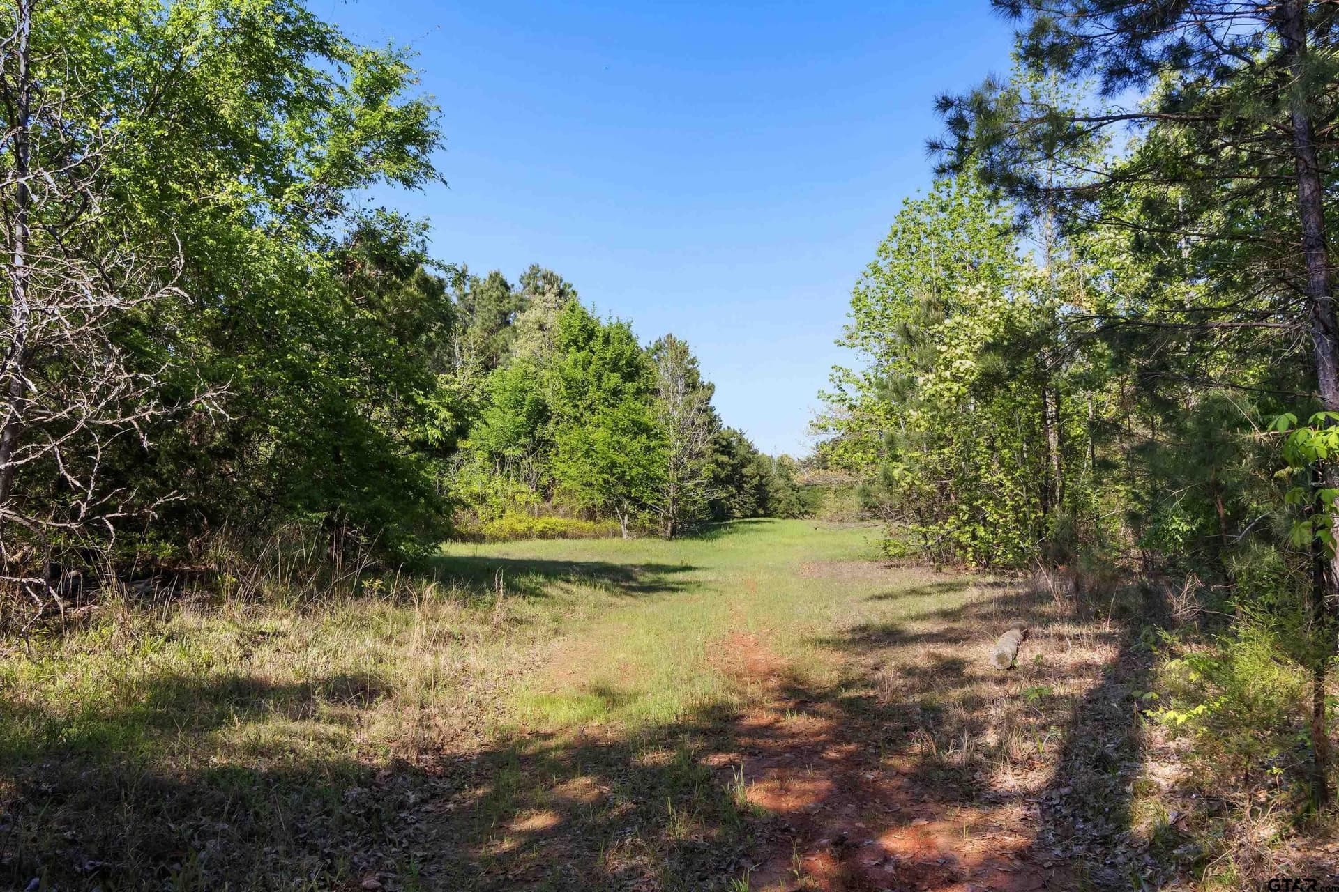 167.75 acres in Wood County - photo 12