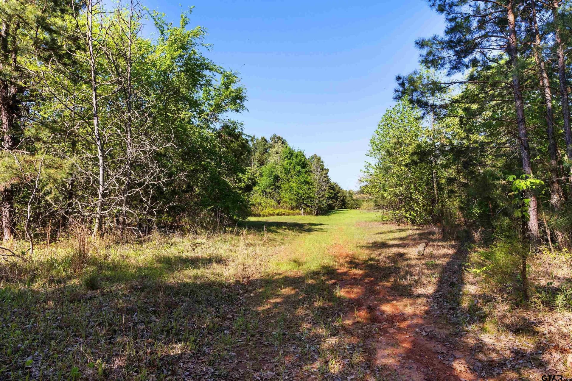 167.75 acres in Wood County - photo 4
