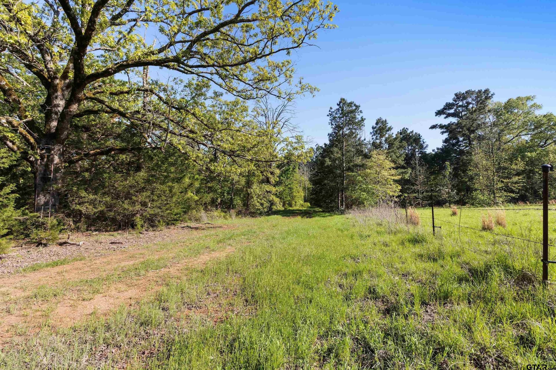 167.75 acres in Wood County - photo 6