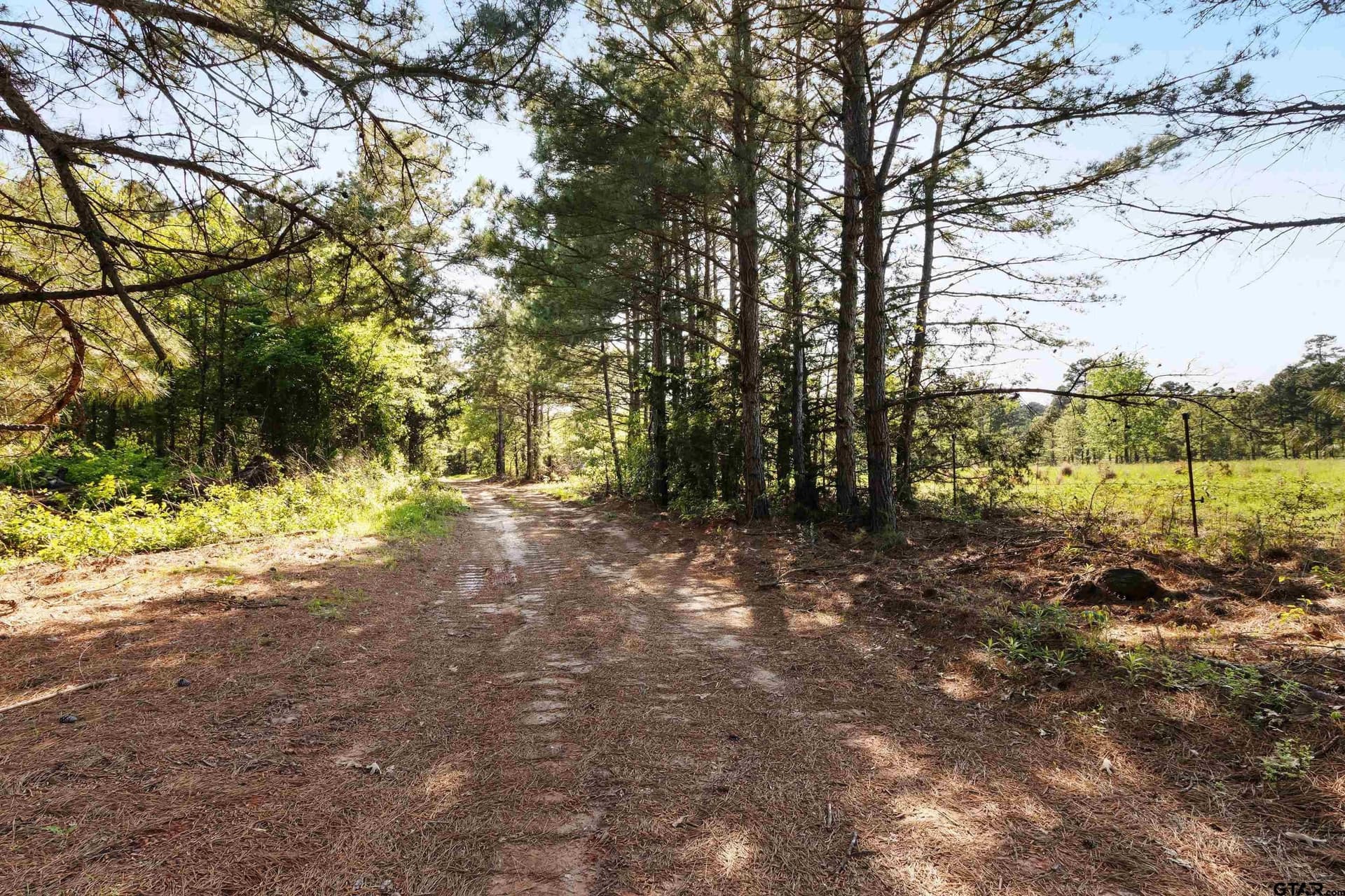 167.75 acres in Wood County - photo 8
