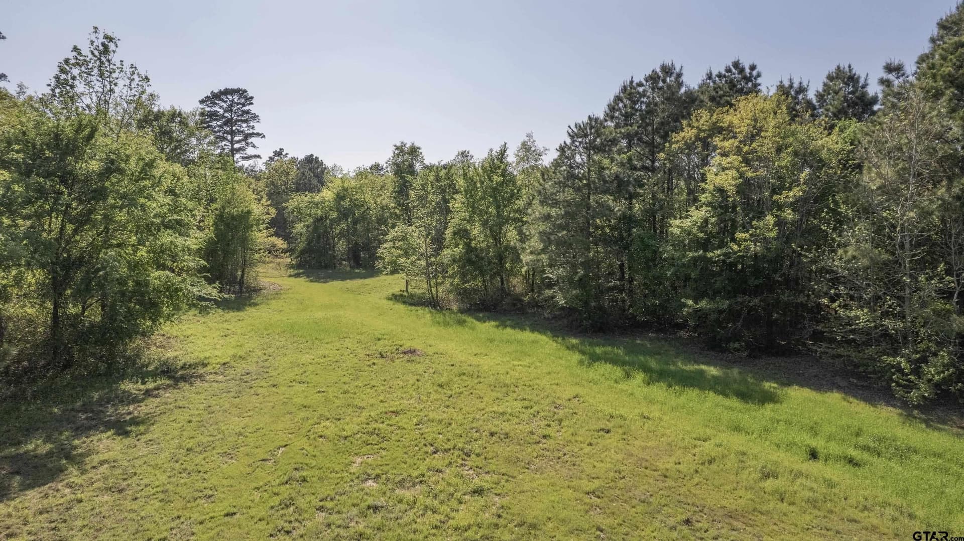 167.75 acres in Wood County - photo 14