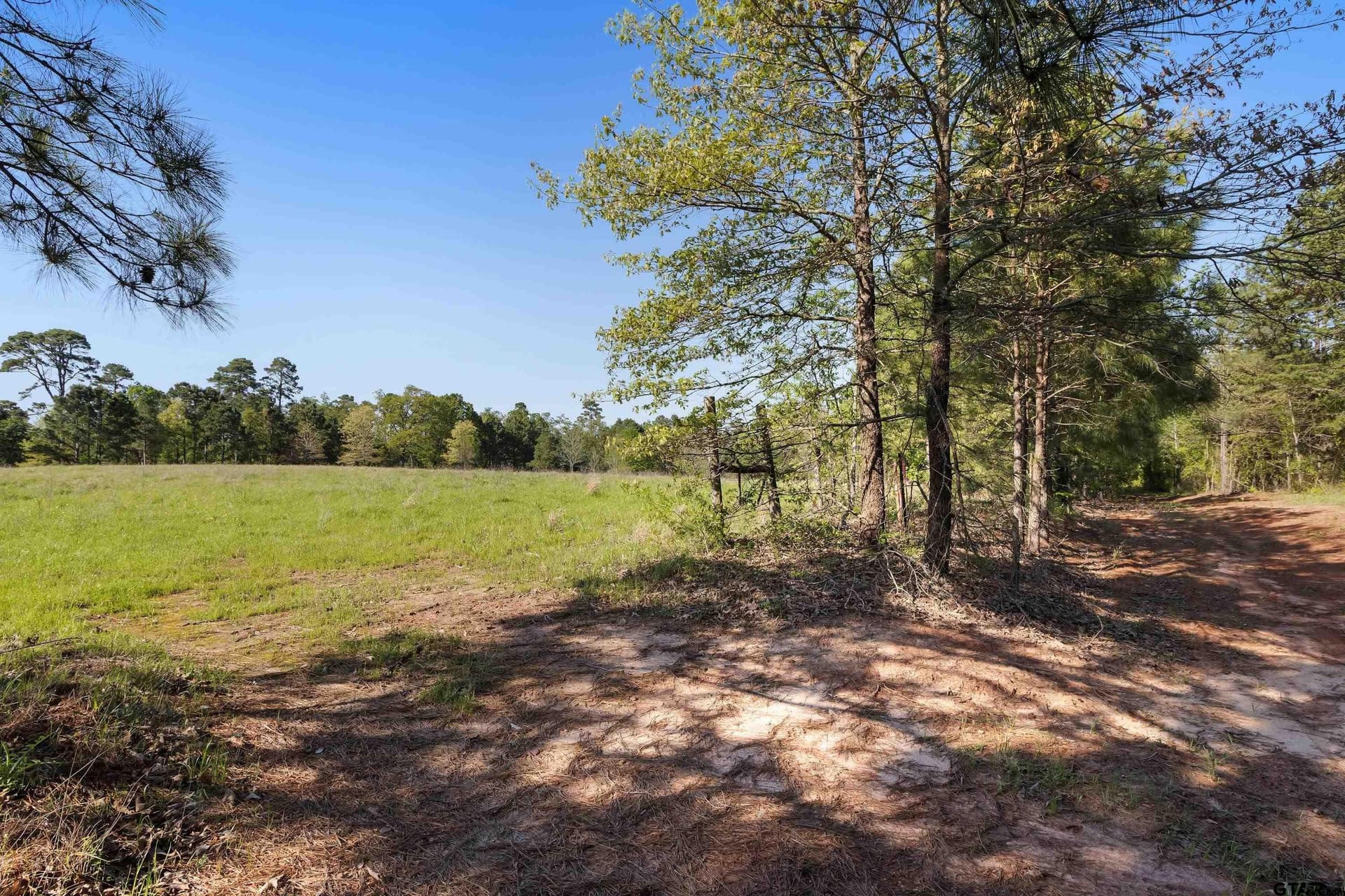 167.75 acres in Wood County - photo 10