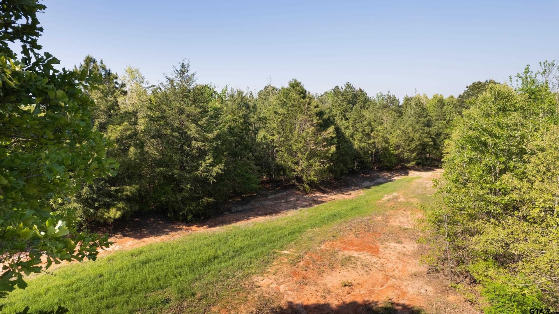 167.75 acres in Wood County - photo 13