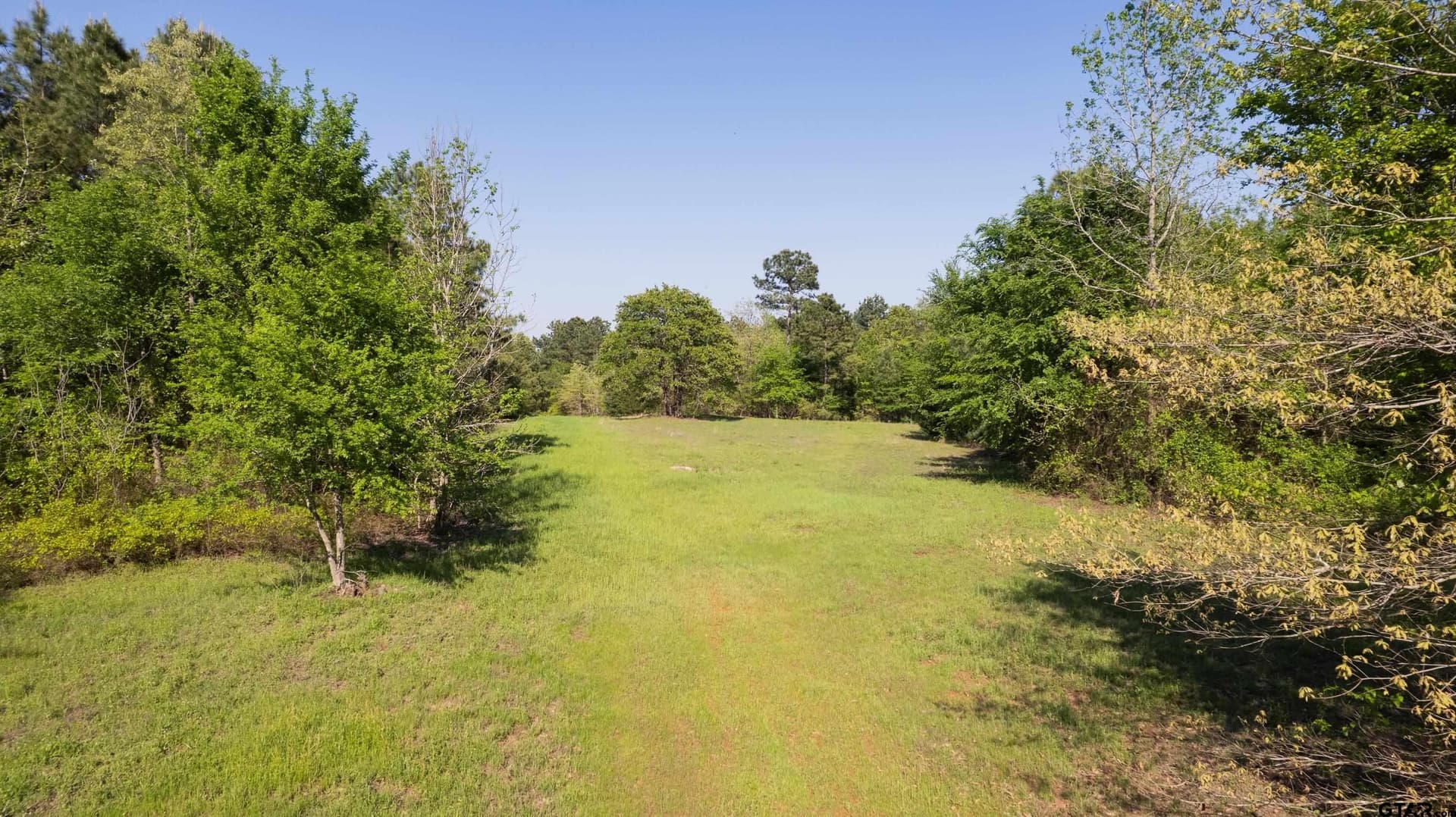 167.75 acres in Wood County - photo 15