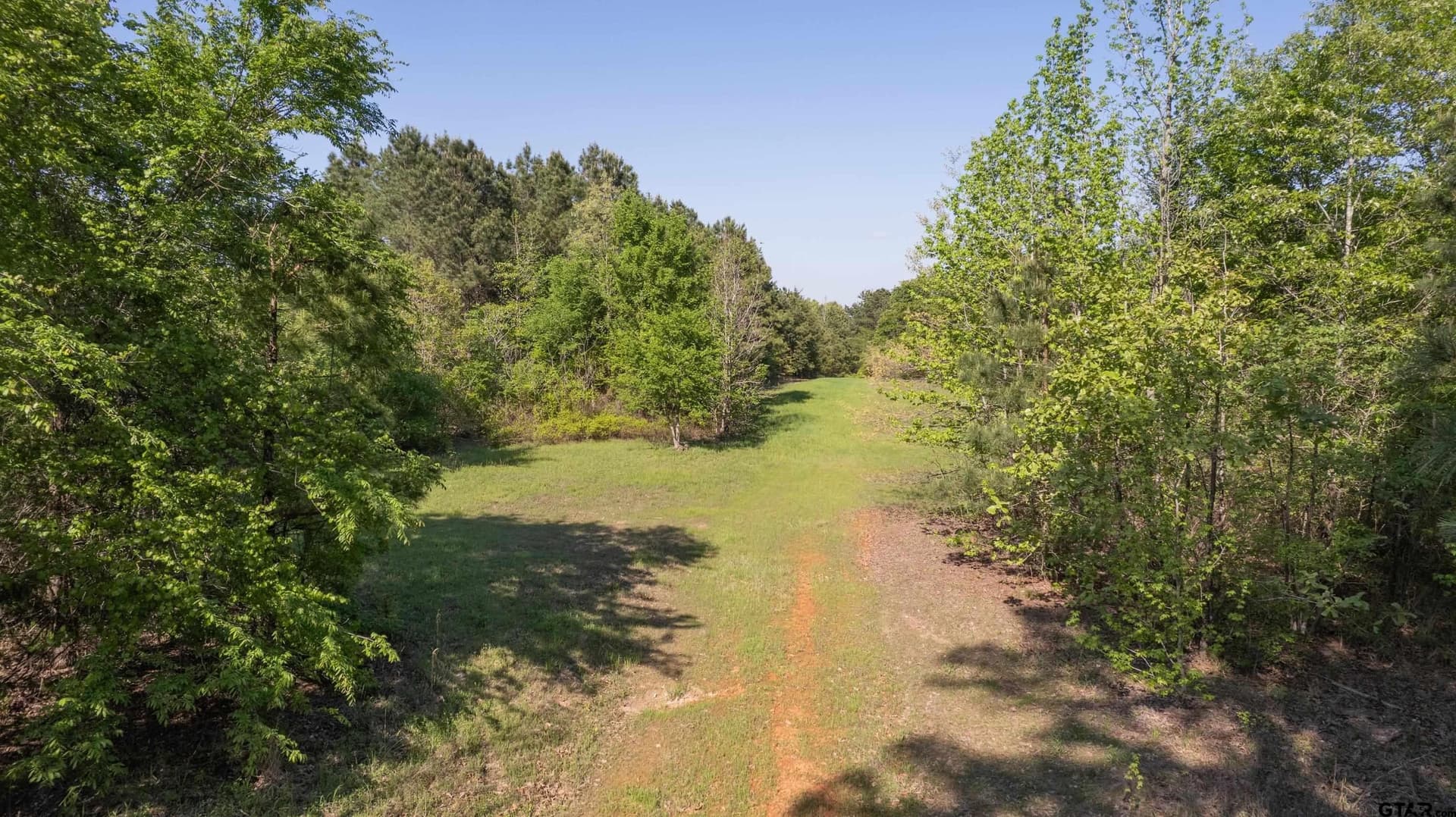 167.75 acres in Wood County - photo 16