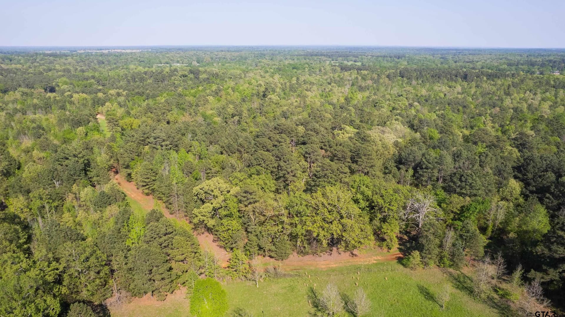 167.75 acres in Wood County - photo 23