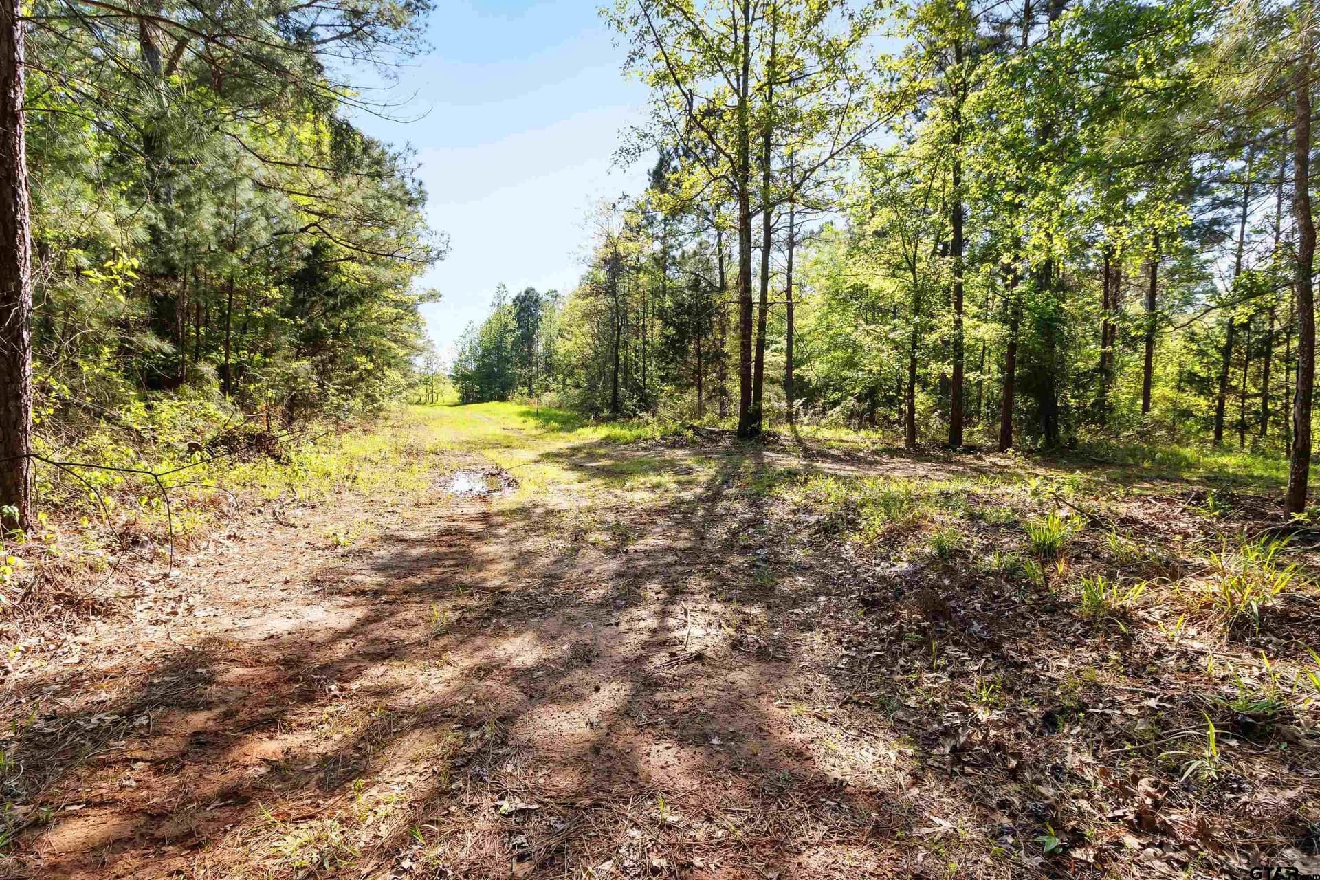 167.75 acres in Wood County - photo 2