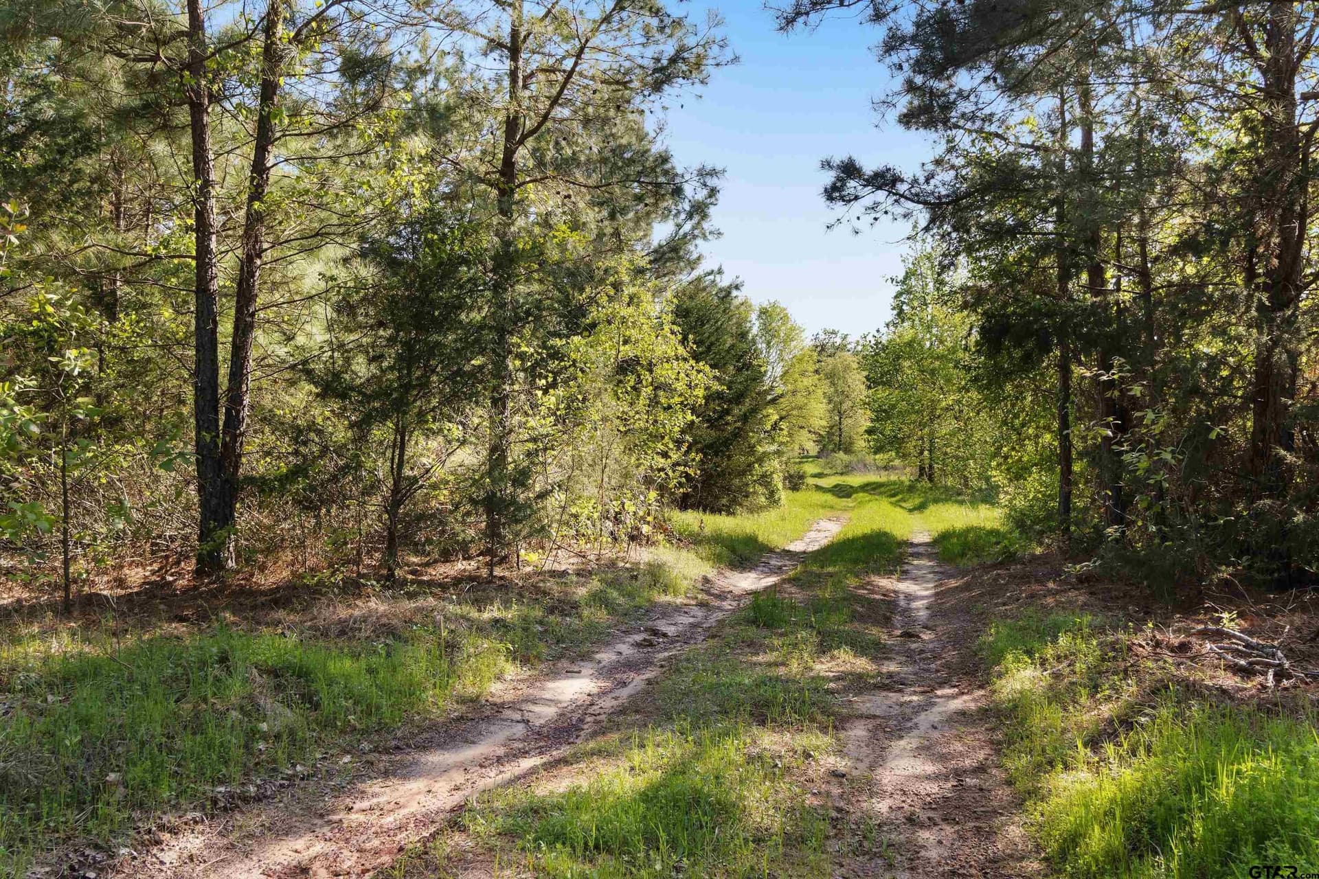 167.75 acres in Wood County - photo 9