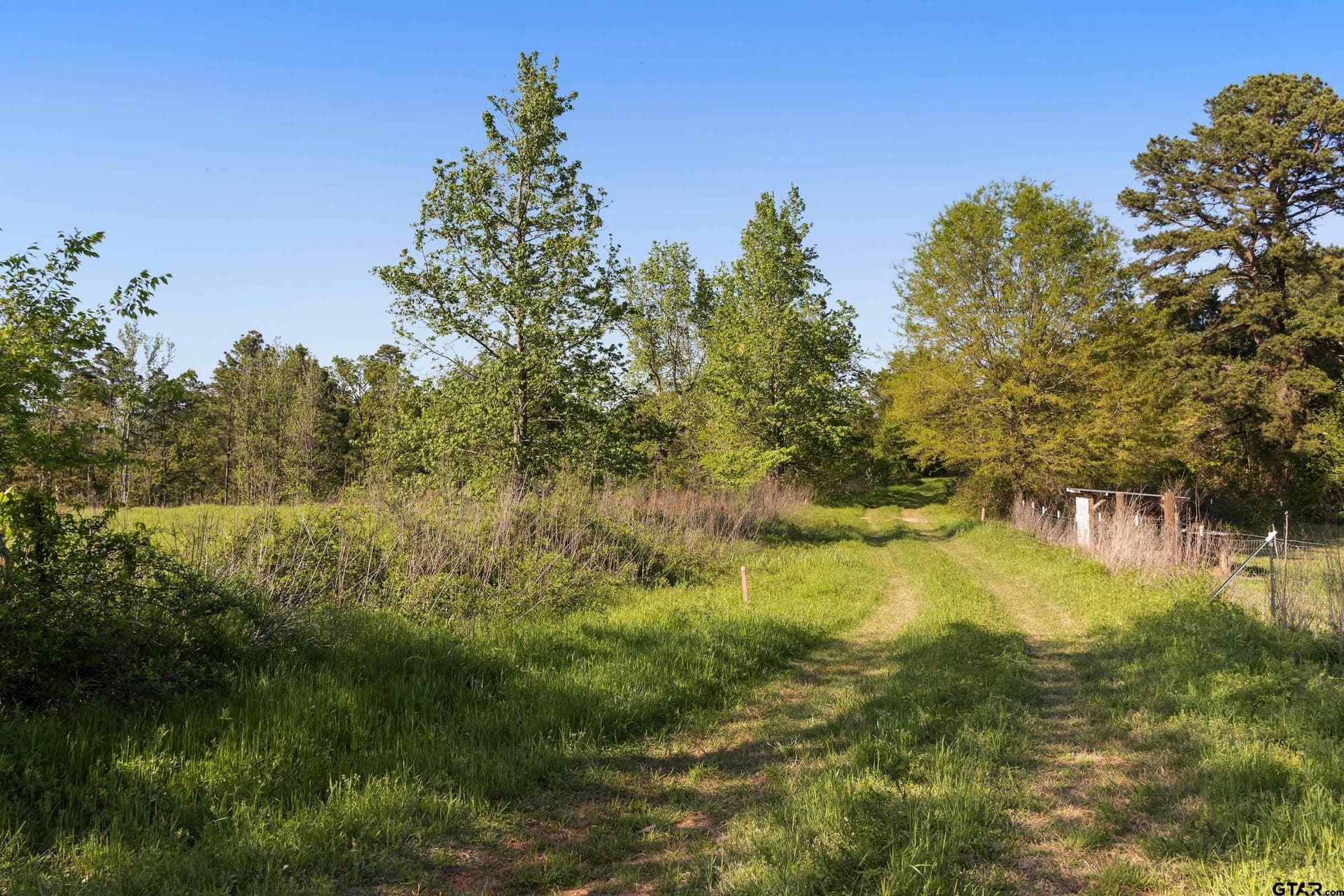 167.75 acres in Wood County - photo 11