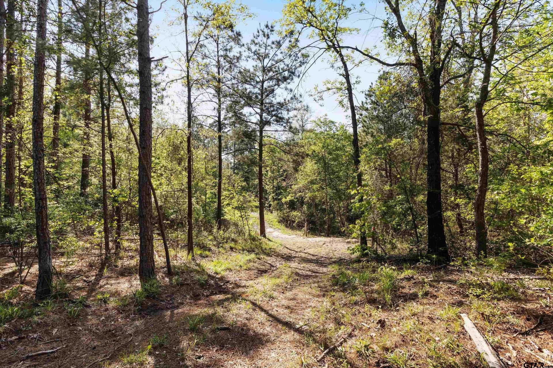 167.75 acres in Wood County - photo 3