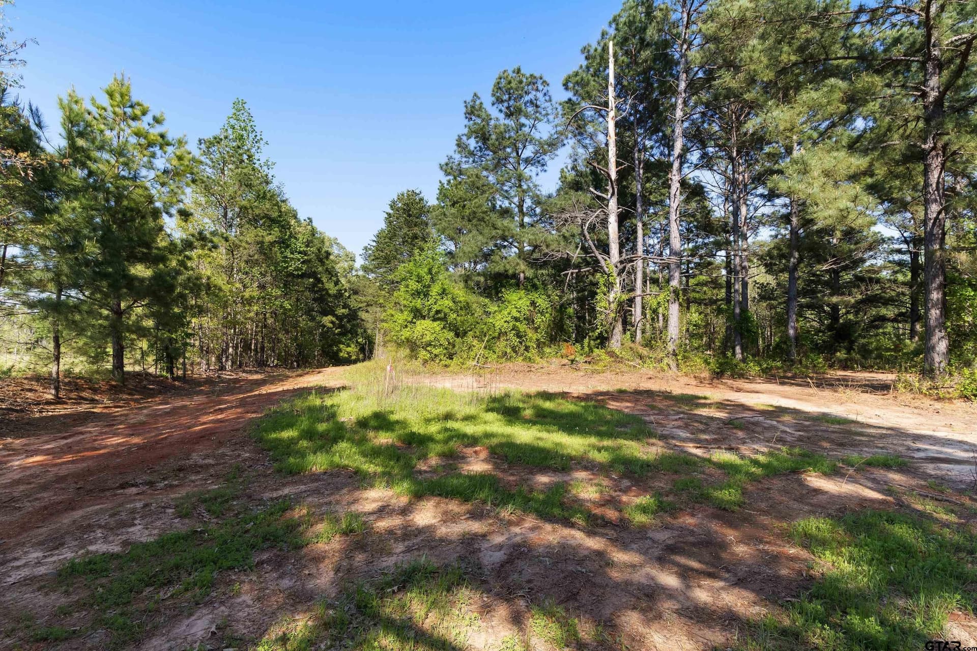 167.75 acres in Wood County - photo 7