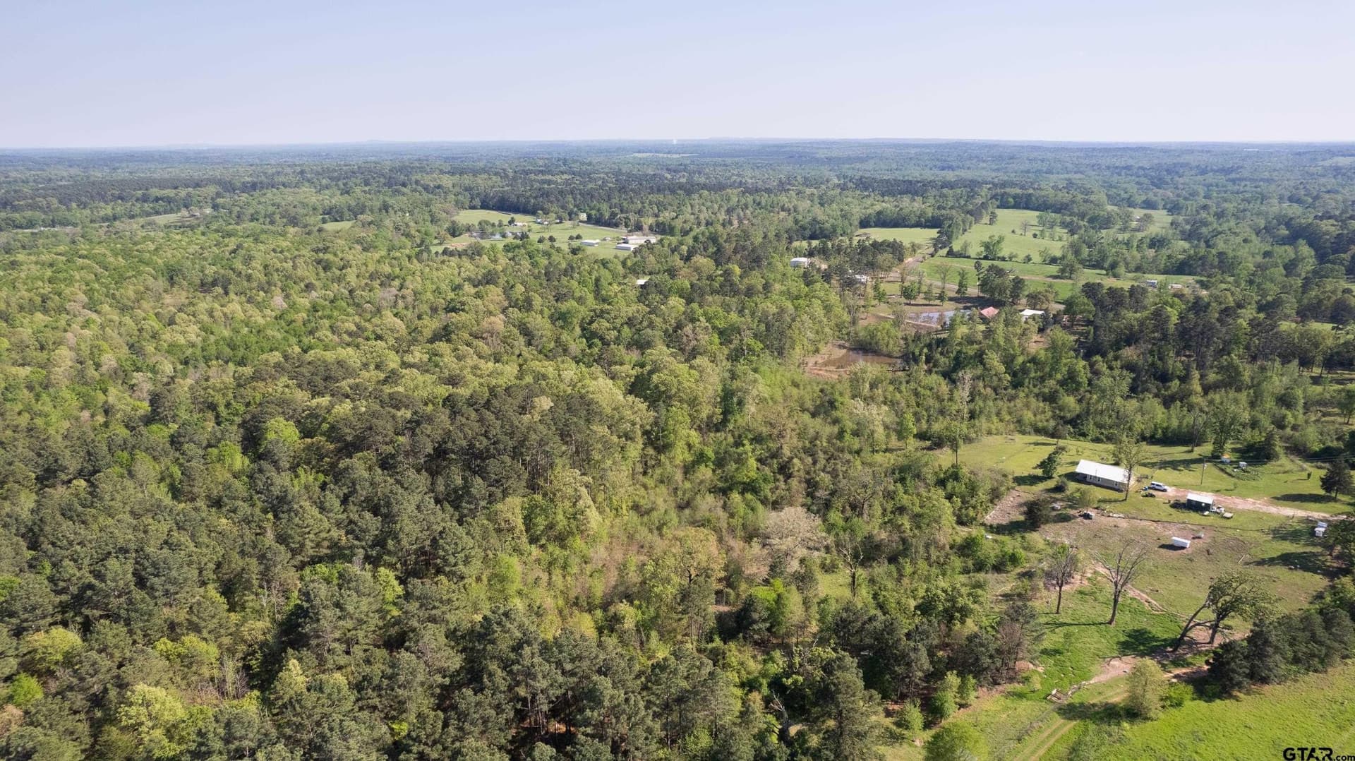167.75 acres in Wood County - photo 20