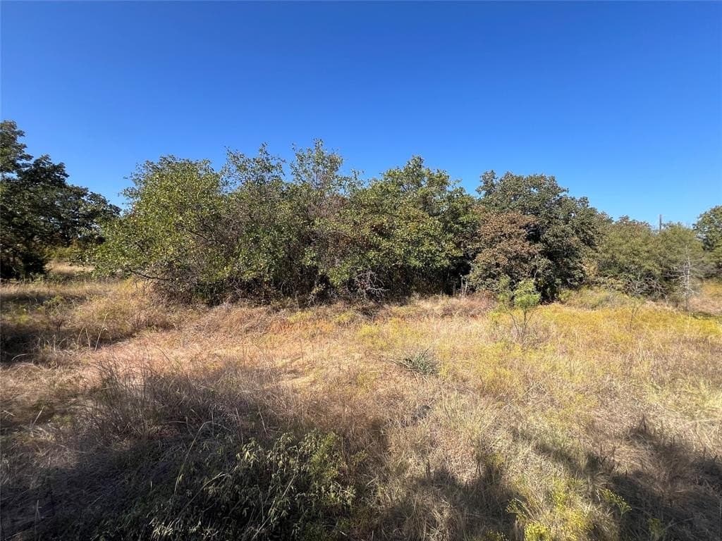 2 acres in Wise County gallery image 3