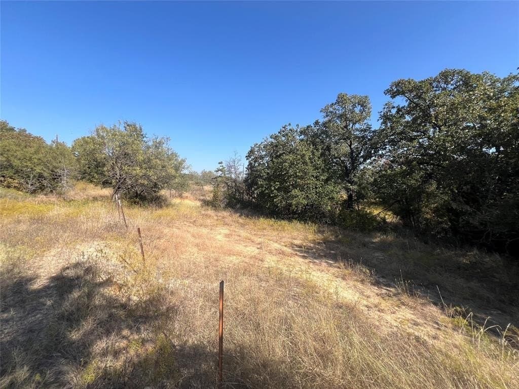 2 acres in Wise County gallery image 4