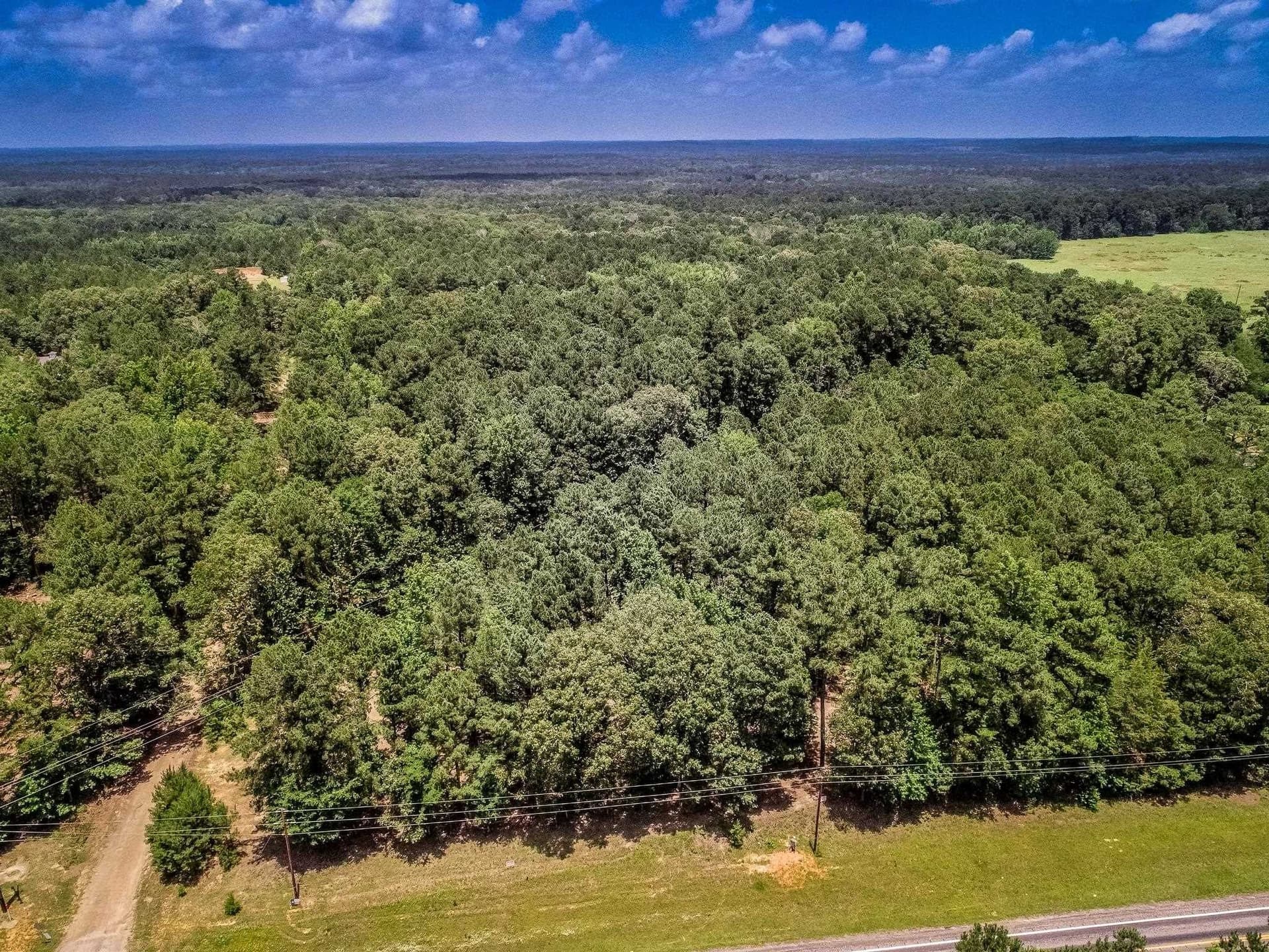 4.25 acres in Marion County gallery image 2