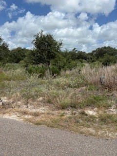 0.61 acres in Texas County gallery image 2