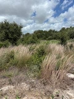 0.61 acres in Texas County