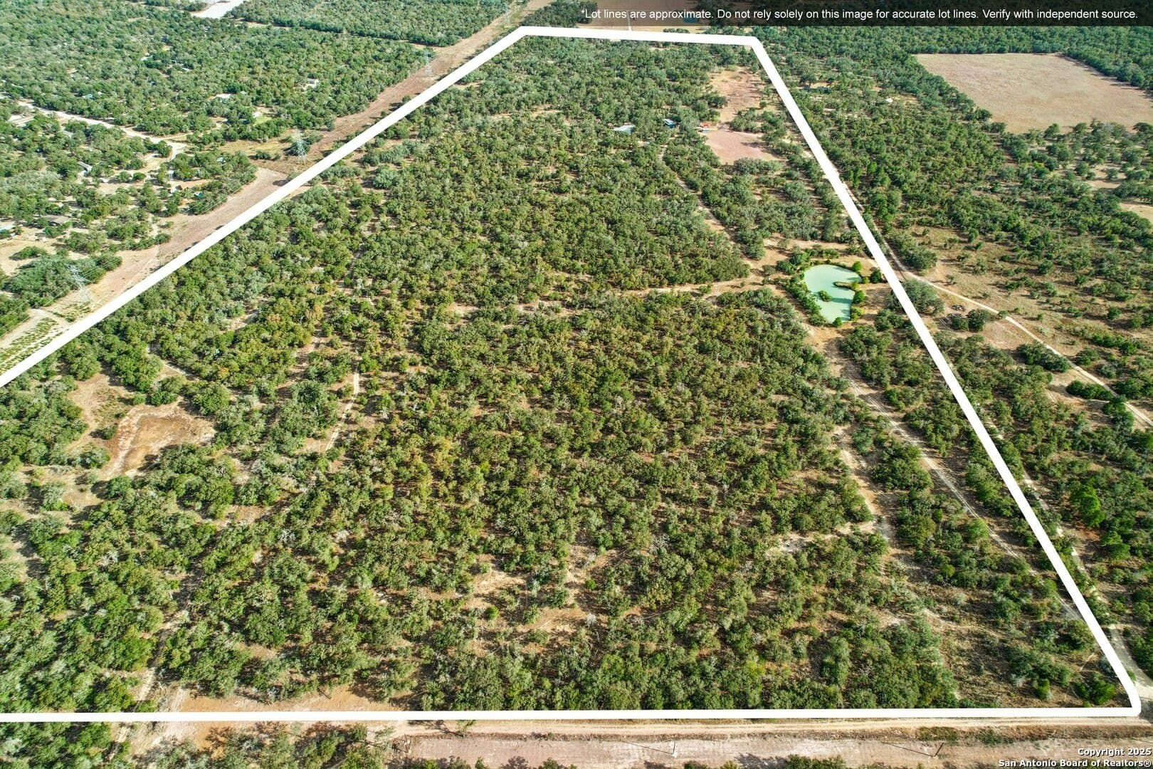 80 acres in Guadalupe County gallery image 3