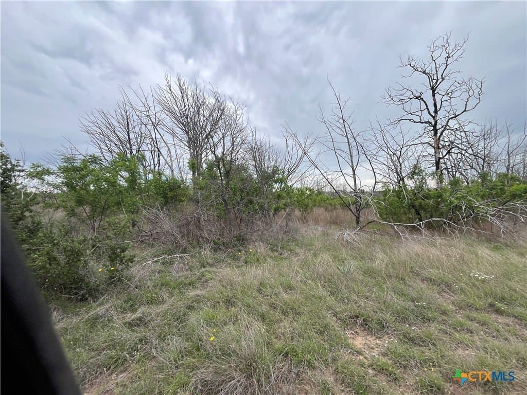 73.13 acres in Lampasas County gallery image 2