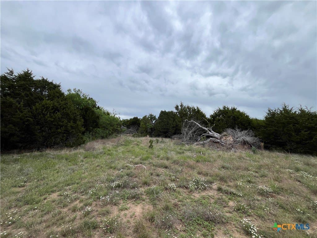 73.13 acres in Lampasas County gallery image 4