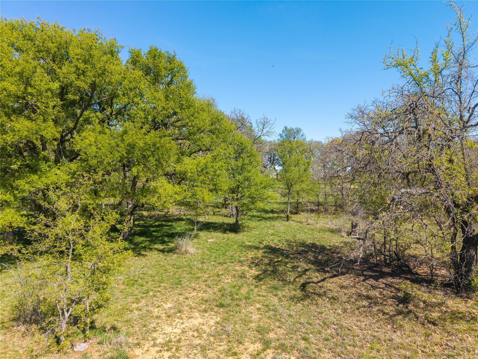 20 acres in Comanche County - photo 26