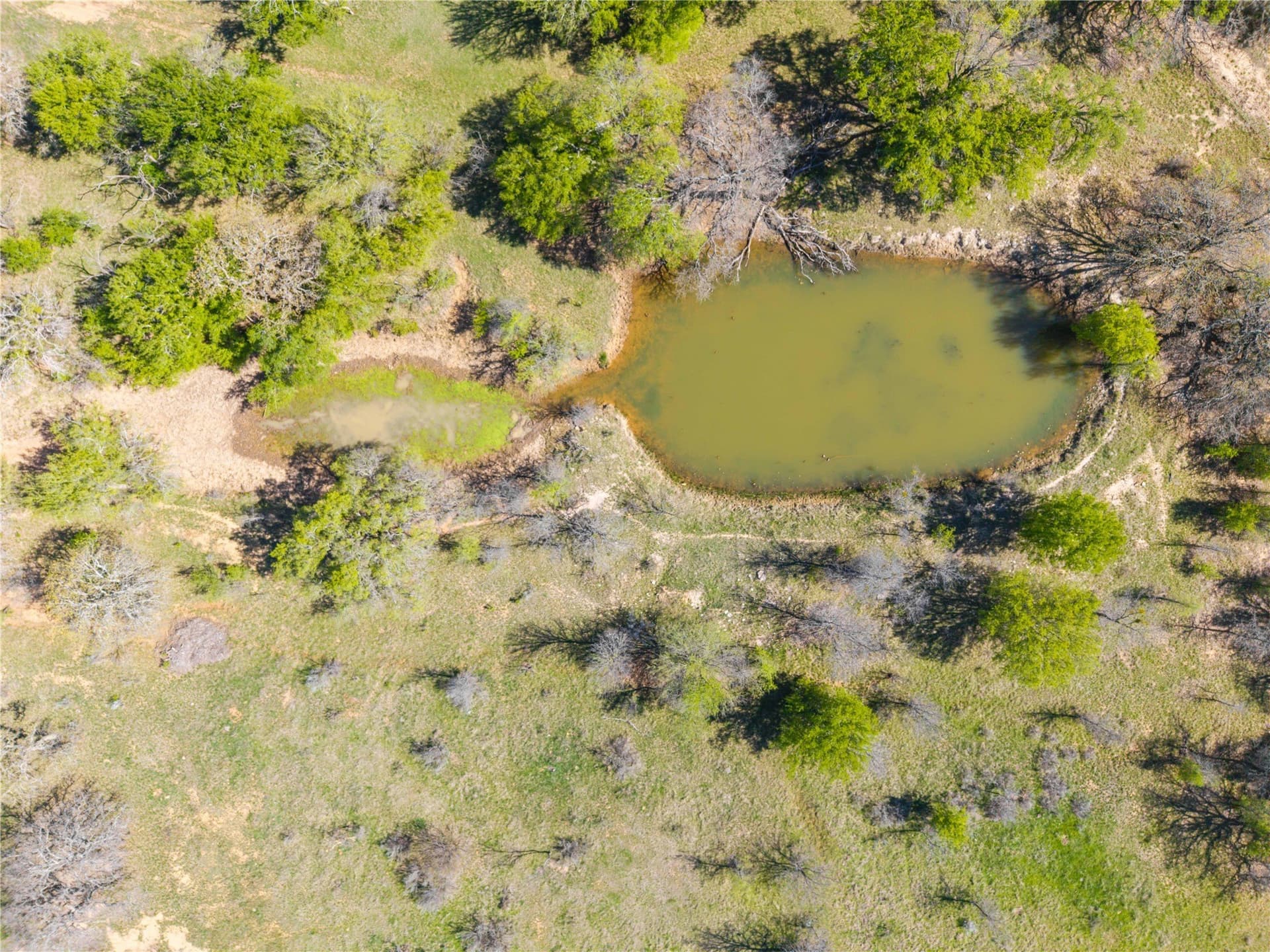 20 acres in Comanche County - photo 17