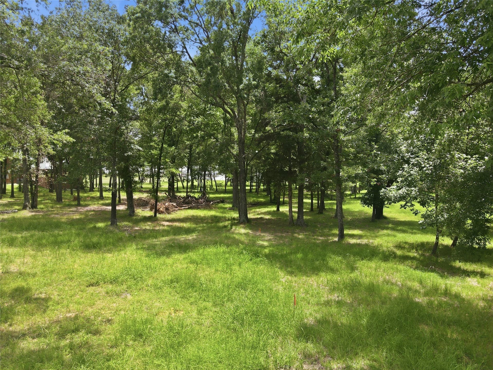 0.83 acres in Rains County - photo 8