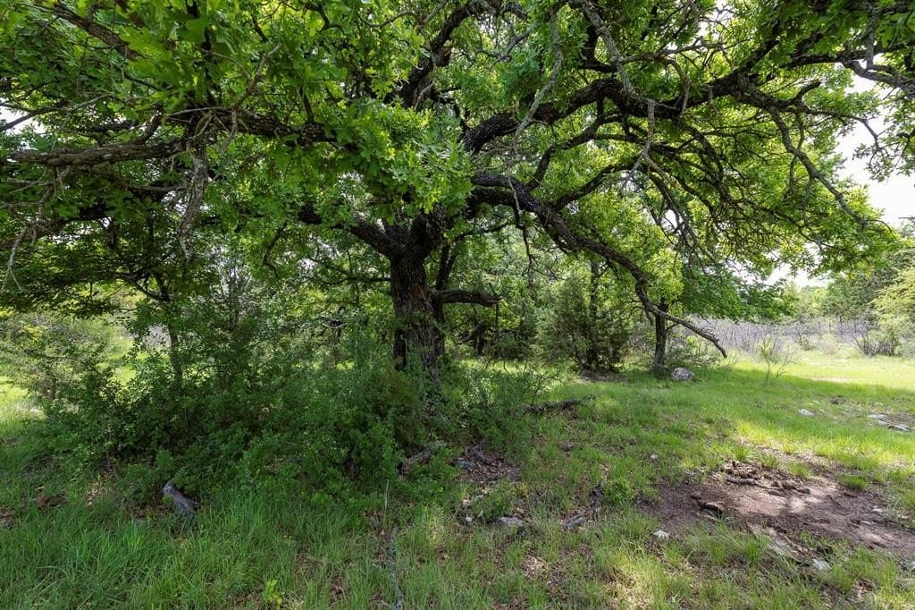 24 acres in Brown County gallery image 2