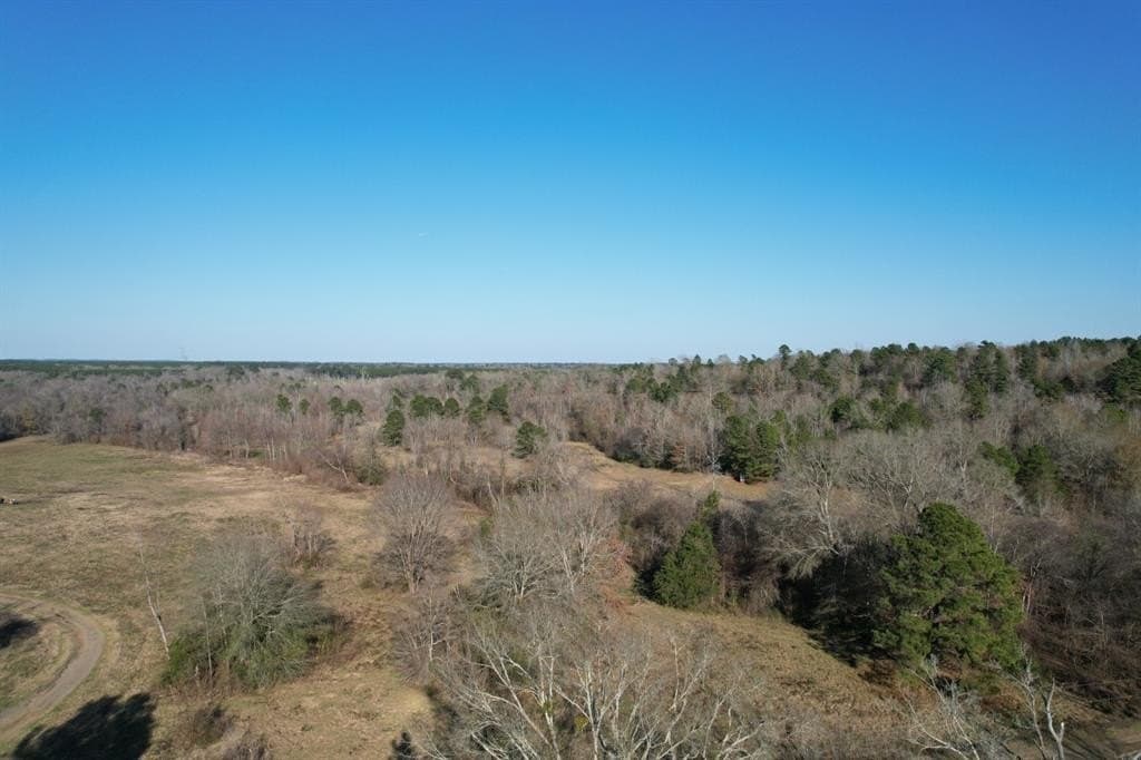 310 acres in Nacogdoches County gallery image 2