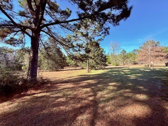 44.4 acres in Texas County - photo 21