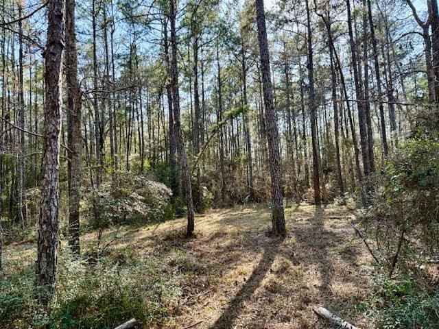 44.4 acres in Texas County - photo 29