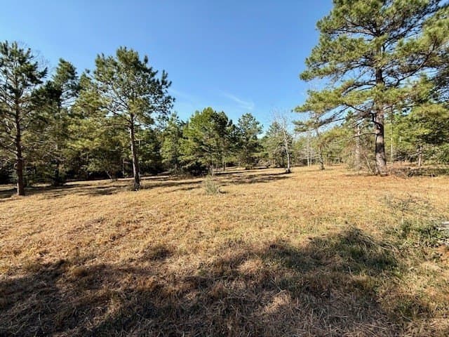 44.4 acres in Texas County - photo 19