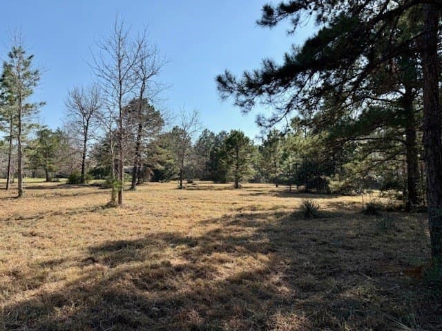 44.4 acres in Texas County - photo 17