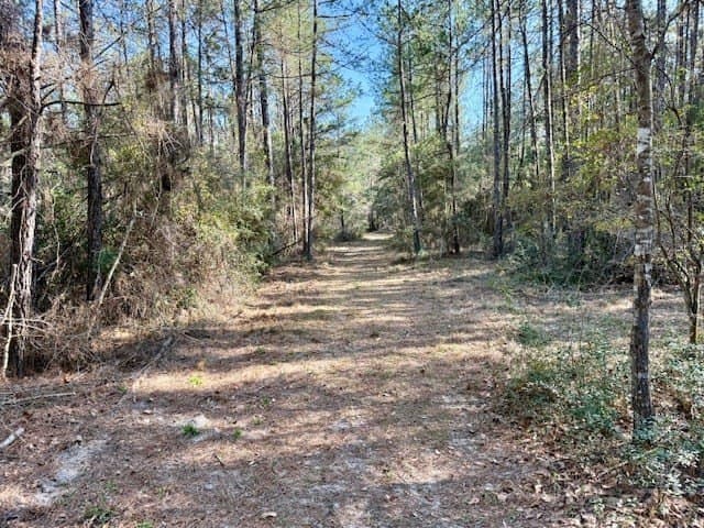 44.4 acres in Texas County - photo 30