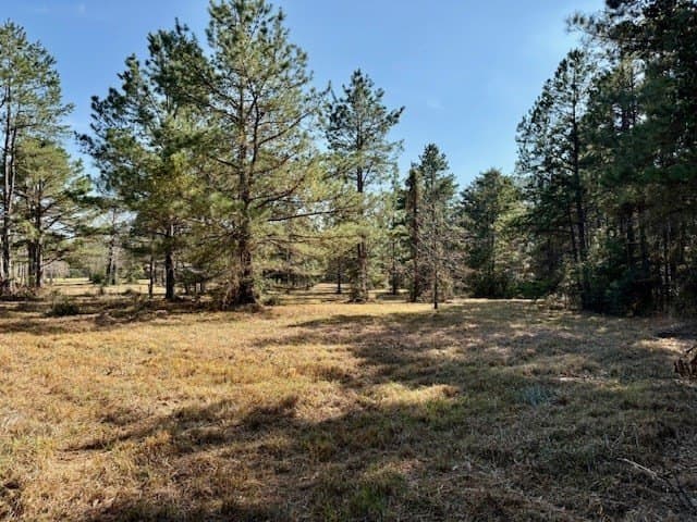 44.4 acres in Texas County - photo 16