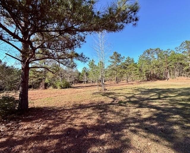 44.4 acres in Texas County - photo 26