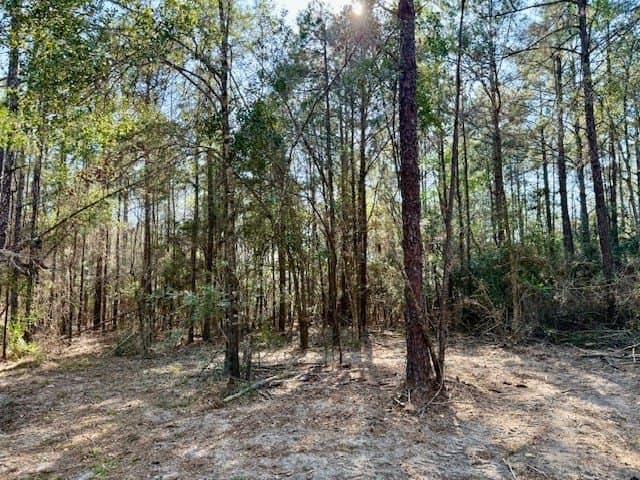 44.4 acres in Texas County - photo 31