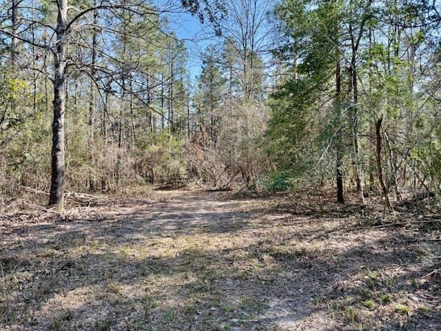 44.4 acres in Texas County - photo 28