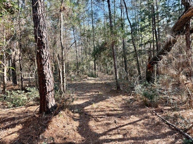 44.4 acres in Texas County - photo 32
