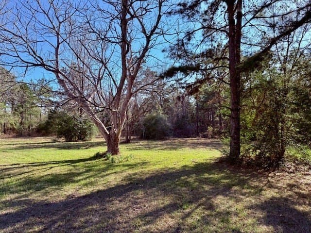 44.4 acres in Texas County - photo 20