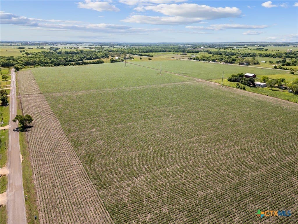 5 acres in Bell County gallery image 2