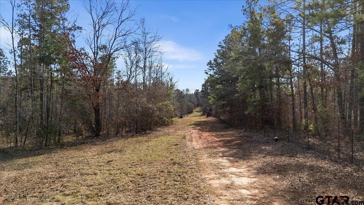 81.08 acres in Cherokee County gallery image 3